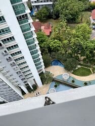 Pavilion 11 (D11), Condominium #539782341